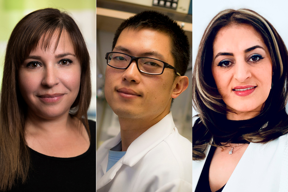 Félicitations à 3 chercheurs stellaires de @uOttawaMed nommés @CRC_CRC! Ils élargiront l'étendue et la profondeur de la recherche novatrice de la Faculté dans des domaines tels que les neurosciences, la neurobiologie et les maladies cardiovasculaires. 🔗med.uottawa.ca/fr/nouvelles/t…