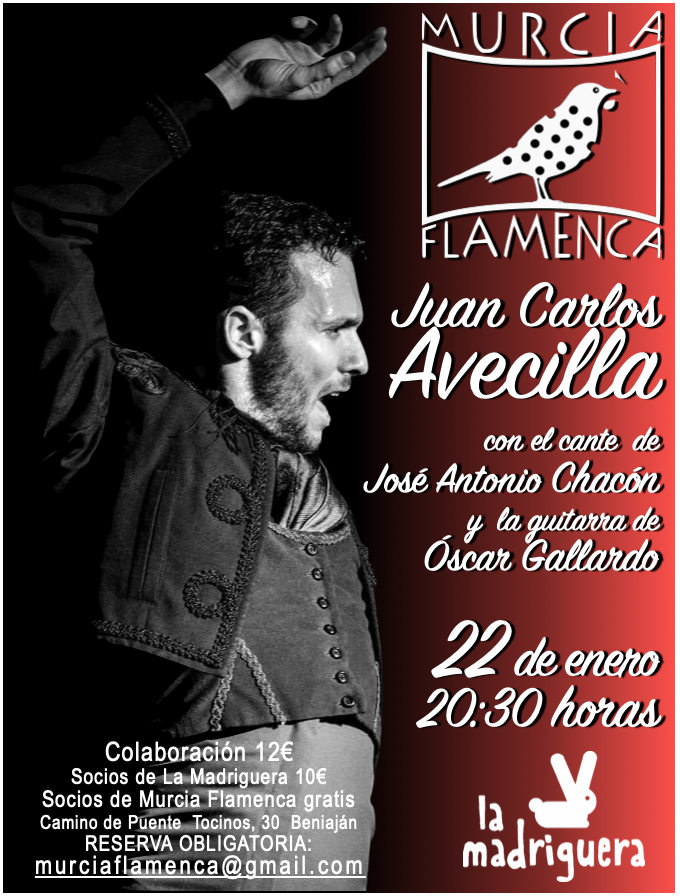 El 22 de enero comienza el año en Murcia Flamenca con el baile de Juan Carlos Avecilla.