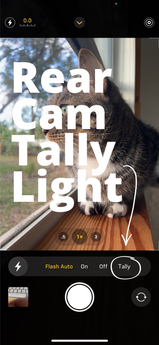 Michael Diaz tweet media