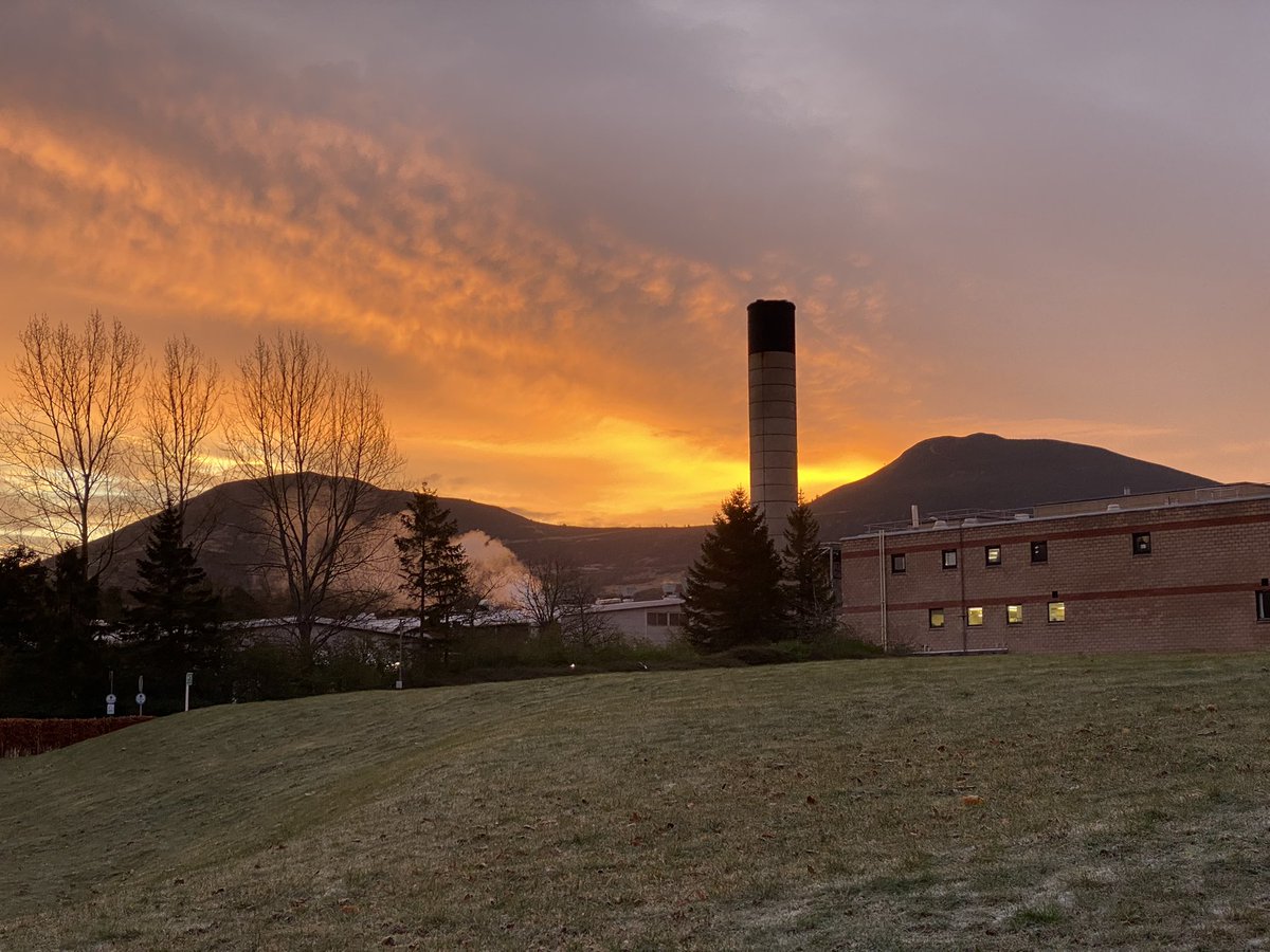 Privileged to work <a href="/NHSBorders/">NHS Borders</a>