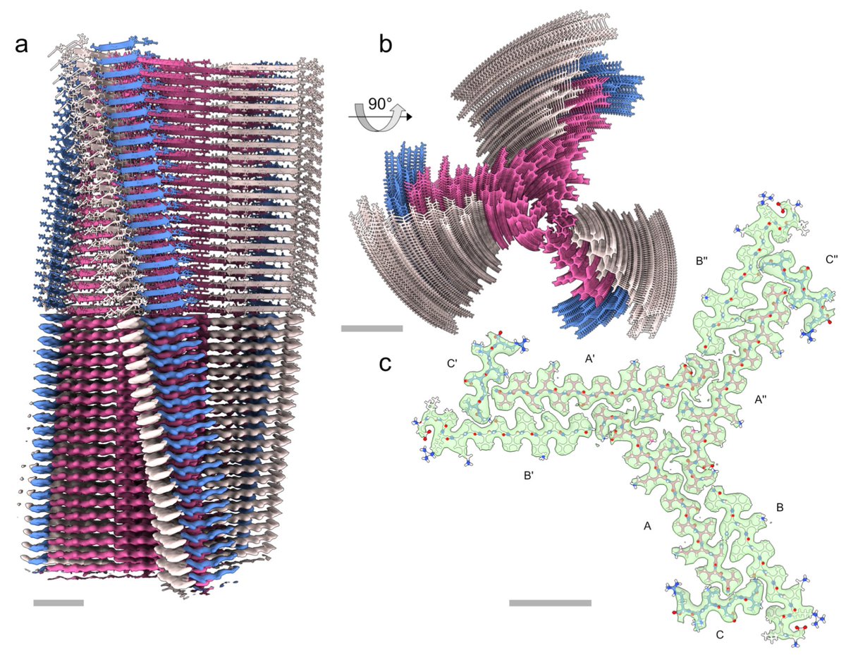 Robert Bücker @antonietrebor@fediscience.org tweet media
