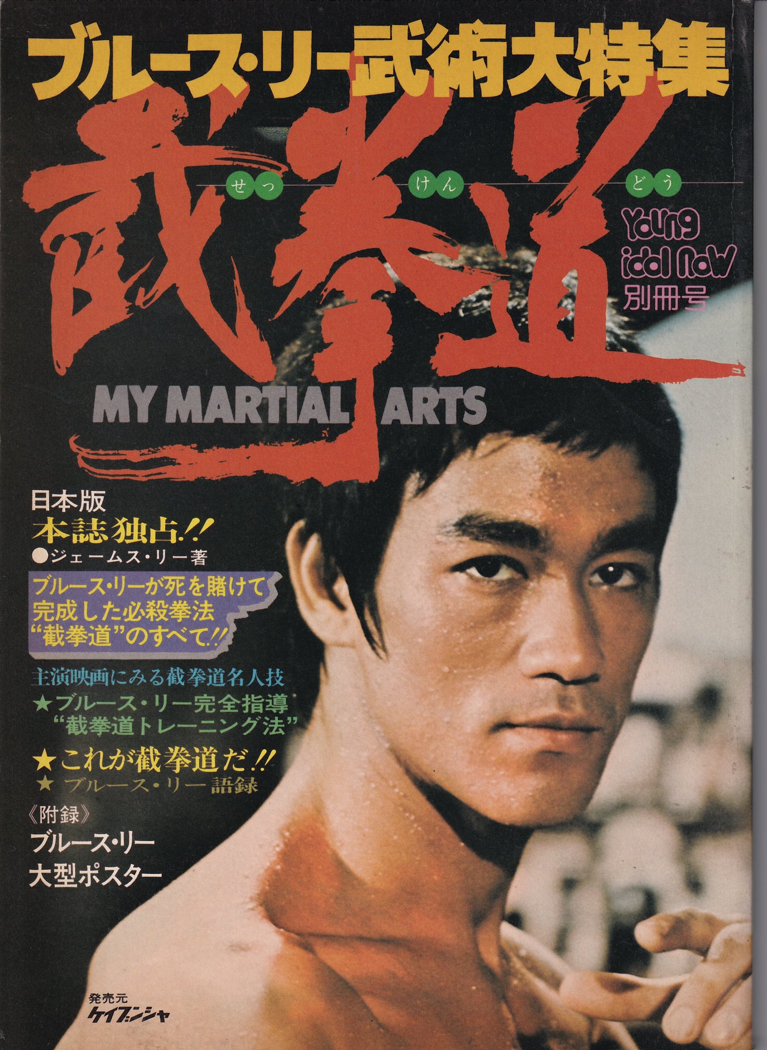洗濯機可 ブルース・リー 李小龍 生栄死哀 - 通販 - www.bonkulovic.com