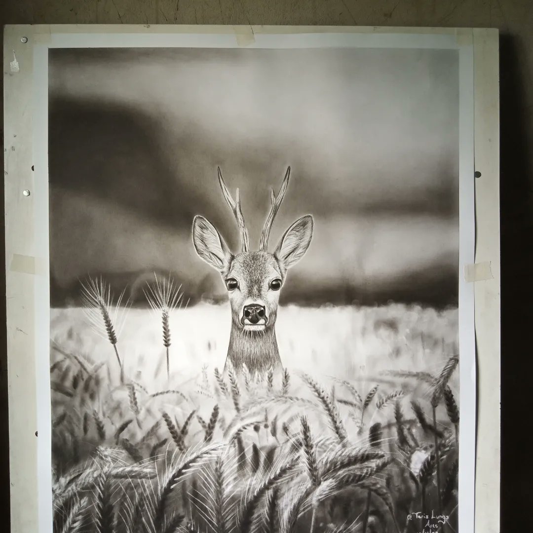 Pencil on paper
