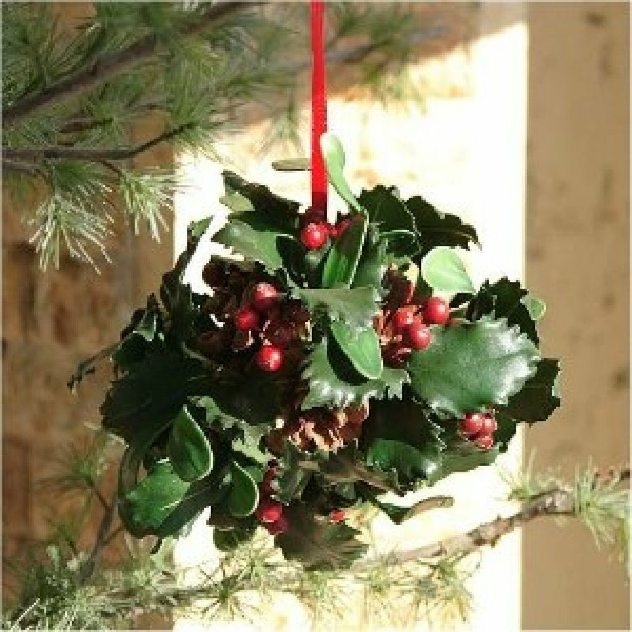 -Aunque ya no es navidad cuelga esto en la puerta del Musain. Ponerse debajo bajo su propia responsabilidad.-