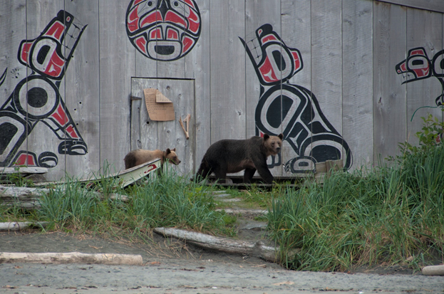 KyleArtelle's tweet photo. Cultural importance of species: The depth and breadth of grizzly-focused stewardship in this region, which exceeds the numerical sustainability expectations that often define western conservation, reflects the importance of this species locally. 21/ https://t.co/p9KeJjyXRy