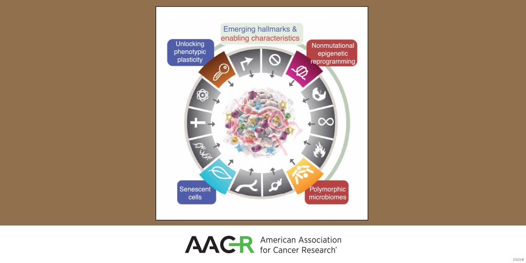 #Senescence is nominated for the #hallmarksofcancer and finally enters the hall of fame:
cancerdiscovery.aacrjournals.org/content/12/1/3…
@CD_AACR