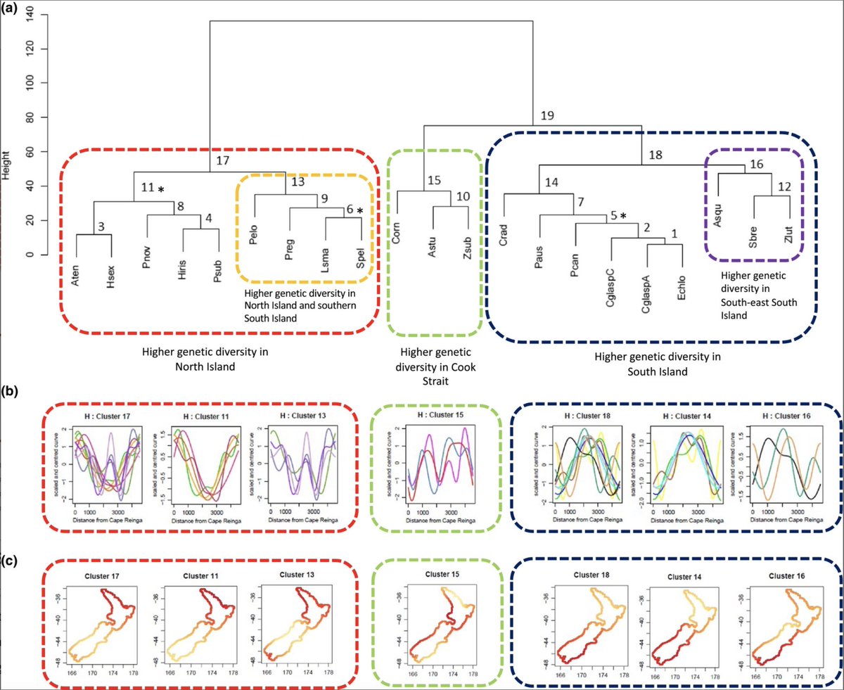 Vanessa Arranz (@vanearranz2) on Twitter photo 🚨 So excited to share this with you!!
"Genogeographic clustering": a novel approach to identify common spatial #genetic patterns among a large number of species.
👉 onlinelibrary.wiley.com/doi/10.1111/dd…
<a href="/consbiog/">Diversity & Distributions</a> <a href="/AucklandUni/">University of Auckland | Waipapa Taumata Rau</a> @AlbanyBiology 🚨 So excited to share this with you!!
"Genogeographic clustering": a novel approach to identify common spatial #genetic patterns among a large number of species.
👉 onlinelibrary.wiley.com/doi/10.1111/dd…
<a href="/consbiog/">Diversity & Distributions</a> <a href="/AucklandUni/">University of Auckland | Waipapa Taumata Rau</a> @AlbanyBiology