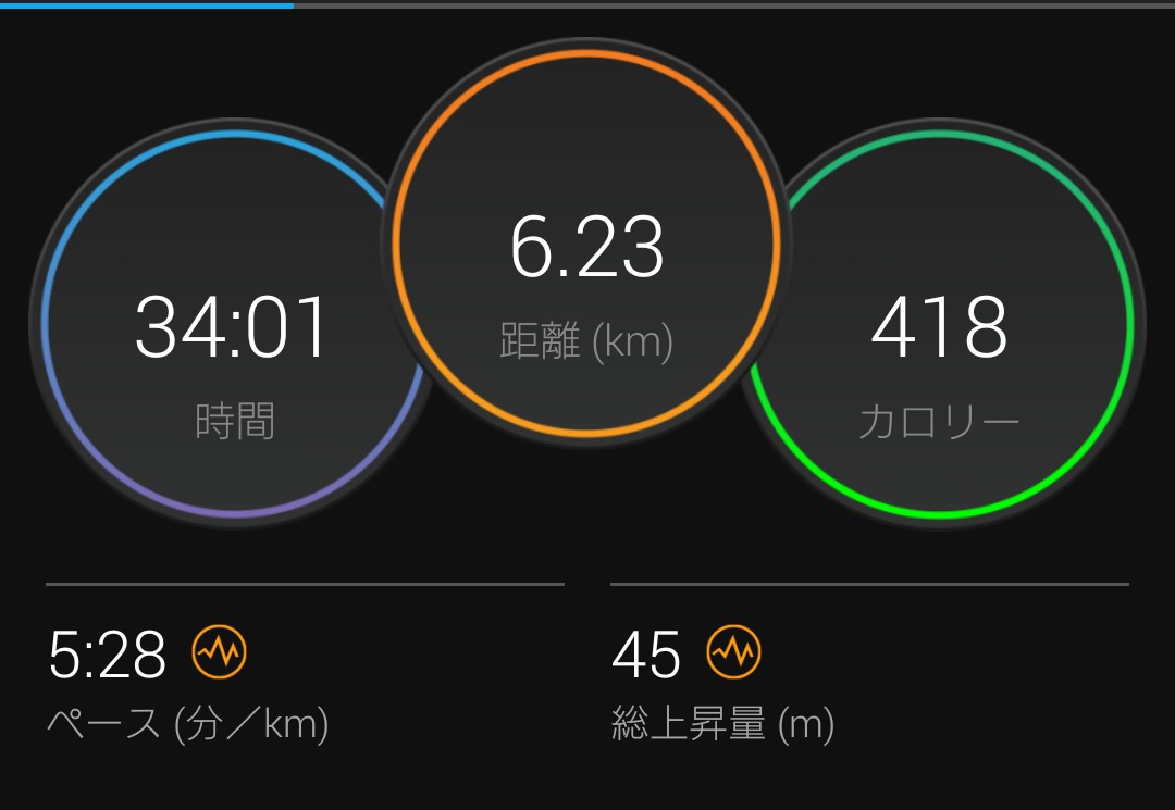 6.23km こんにちは☁ 今朝も昨日と同じワークアウトが表示されたので、今度は従ってみましたが…… 34分で6.25km走ると思い込んでたけど、実際はkm6'25"ペースで34分走るが正解で