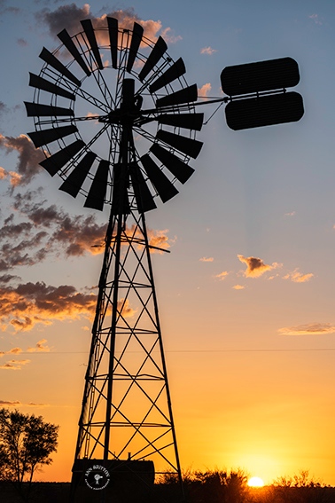 annbritton's tweet photo. I love the fact that I am constantly learning every day…but especially in the photography space.
#annbrittonphotography #photography #outbackqueensland #wideopenspaces #bigskycountry #channelcountry #asitisMyOutback #lightchallenge #outbackphotographer #storytelling https://t.co/gPnXKlrRCA