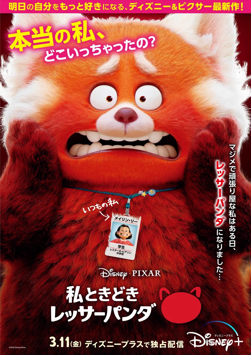 【専用】ディズニー【未使用】　私ときどきレッサーパンダ※(DVD )のみ❗ ディズニープラス公式 on X: 