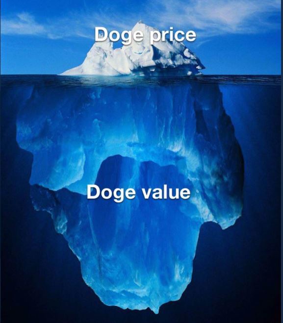 dogeQUAN tweet media