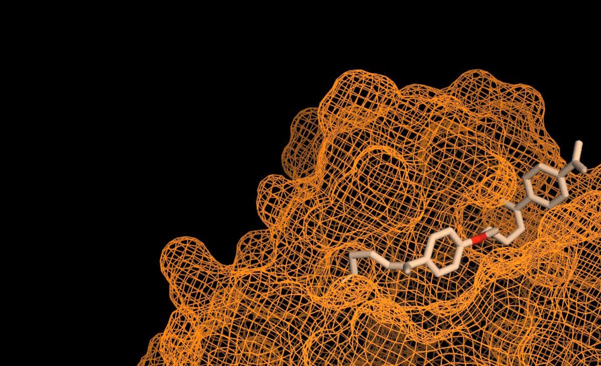 We're recruiting for the 2022 research and exec teams! The deadline is Feb. 5th. Application form: forms.gle/yeUTSEArZsoUCx…