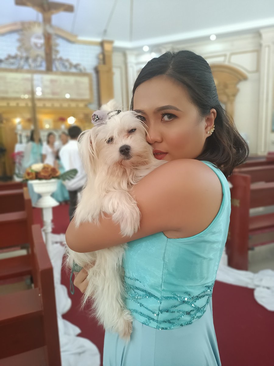 Rxnnnnn2's tweet photo. Bembem🐶 https://t.co/RERAWjTQIG