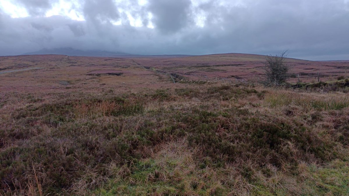 eagle_trust's tweet photo. Moody and cold weather on #CuilcaghMountain in recent days #fieldwork @theCANNproject @SEUPB #snowcoming…. https://t.co/GHlxPCqD96