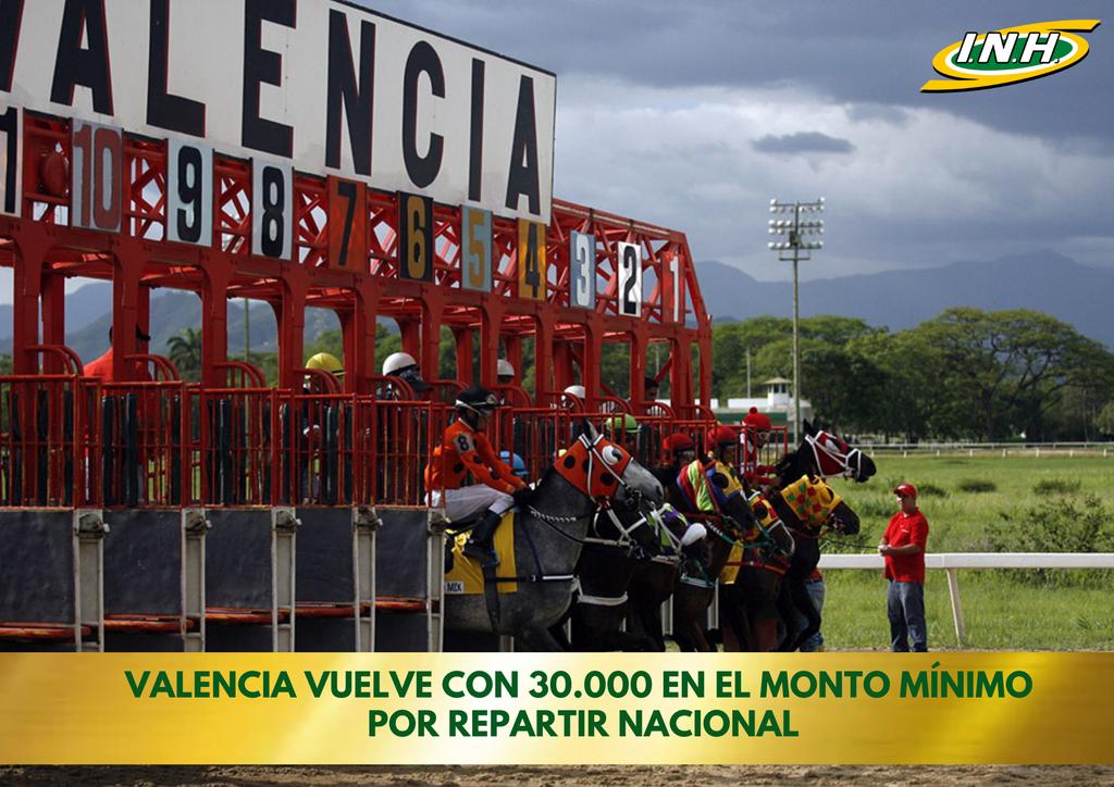 🔸🔷🔸 #NotiHípicoHINAVA 🗞️🎤📸📹

𝐕𝐚𝐥𝐞𝐧𝐜𝐢𝐚 𝐯𝐮𝐞𝐥𝐯𝐞 𝐜𝐨𝐧 𝐁𝐬. 𝟑𝟎.𝟎𝟎𝟎 𝐞𝐧 𝐞𝐥 𝐦𝐨𝐧𝐭𝐨 𝐦í𝐧𝐢𝐦𝐨 𝐩𝐨𝐫 𝐫𝐞𝐩𝐚𝐫𝐭𝐢𝐫 𝐞𝐧 𝐞𝐥 𝟓𝐲𝟔 𝐧𝐚𝐜𝐢𝐨𝐧𝐚𝐥

Encuentra la noticia completa aquí ➡️ bit.ly/3K3P67D

#Hipismo