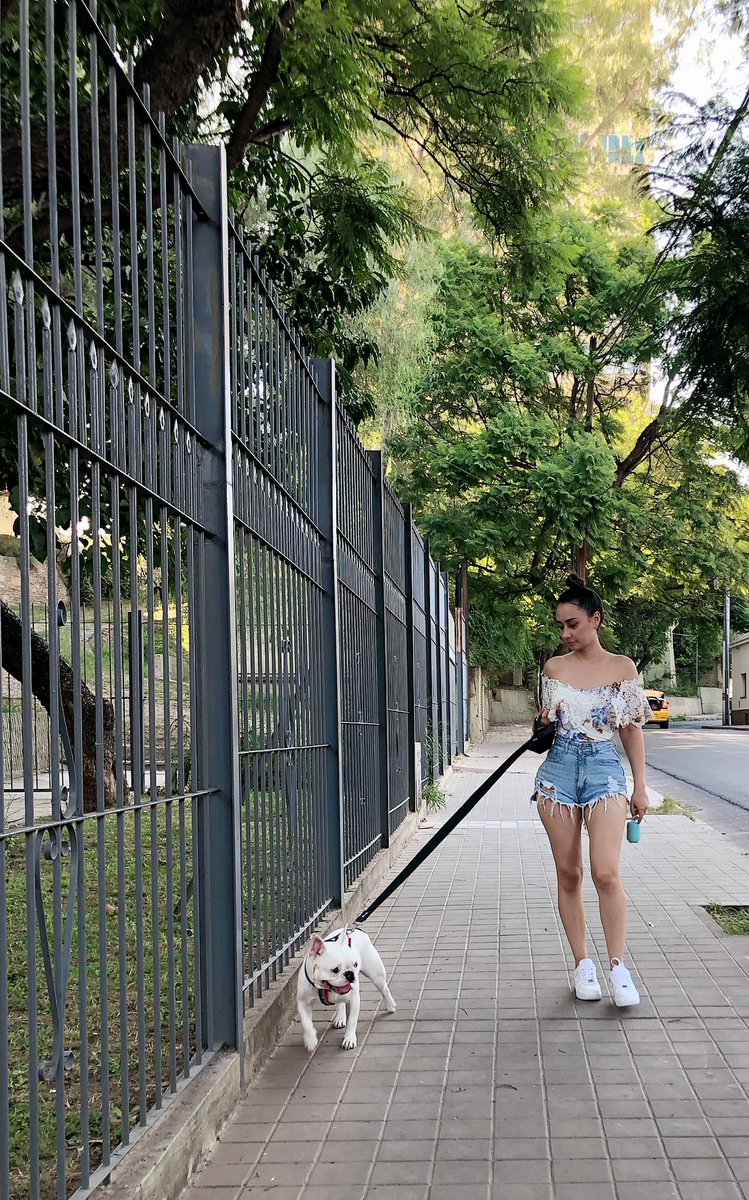 AlejaQuintana05's tweet photo. Paseando a mi muchacho 🤍 https://t.co/4idcaoEea3
