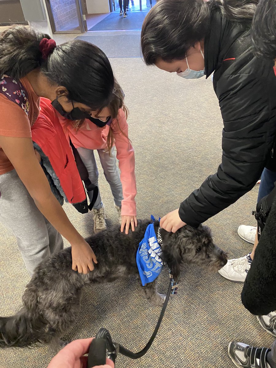 Remi_Ingwerson's tweet photo. I have the BEST friends at NMS! I’m the luckiest therapy dog in the world. 😃❤️🐕 #nmsstangs https://t.co/fef8vc4Chp