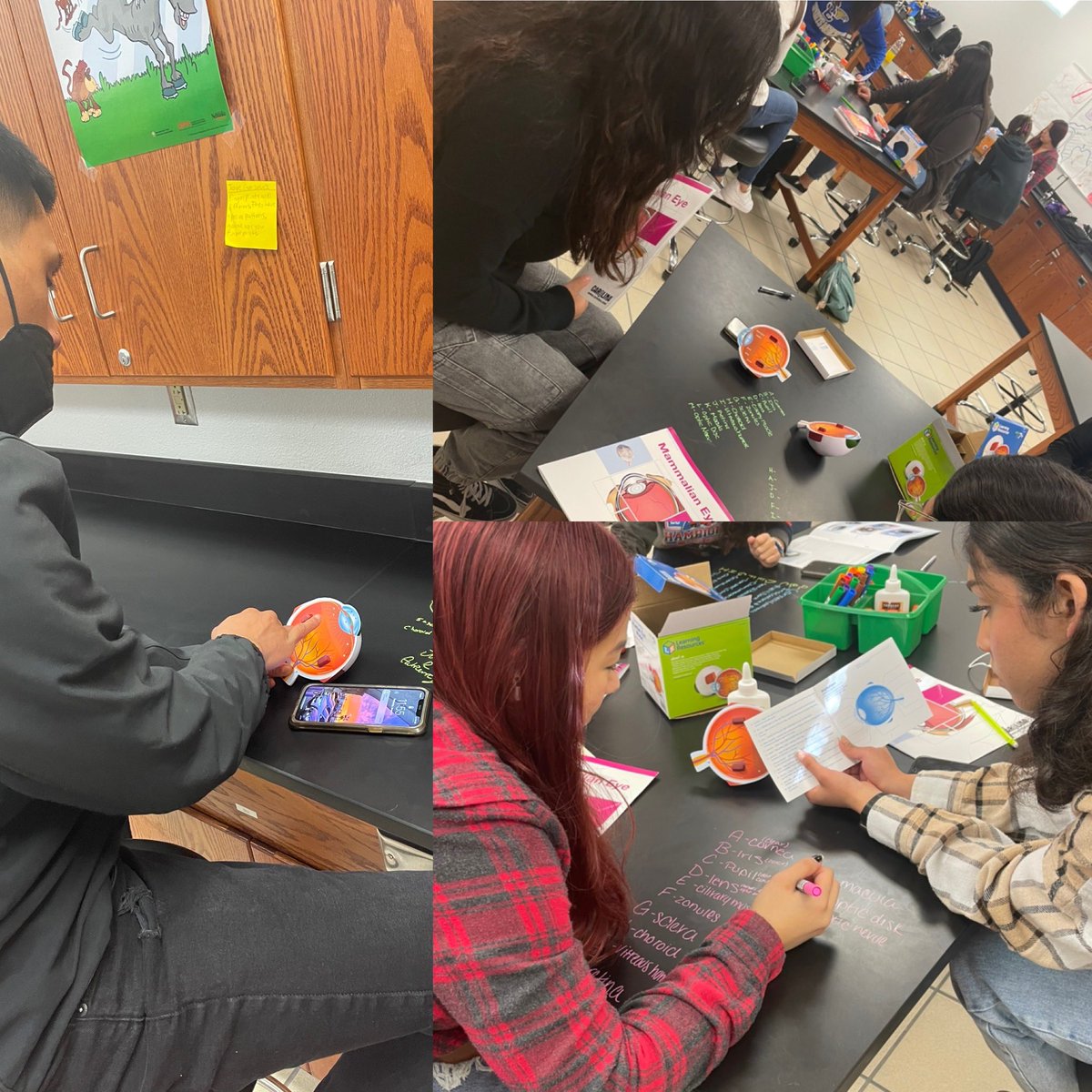 aluna0707's tweet image. Eye 👁 see you studying 😂 #drlunasclass #theye #nerdsatwork #SEHSTheBest #SEISDCommunityOfChampions #pltwclassroom #STEMactivities