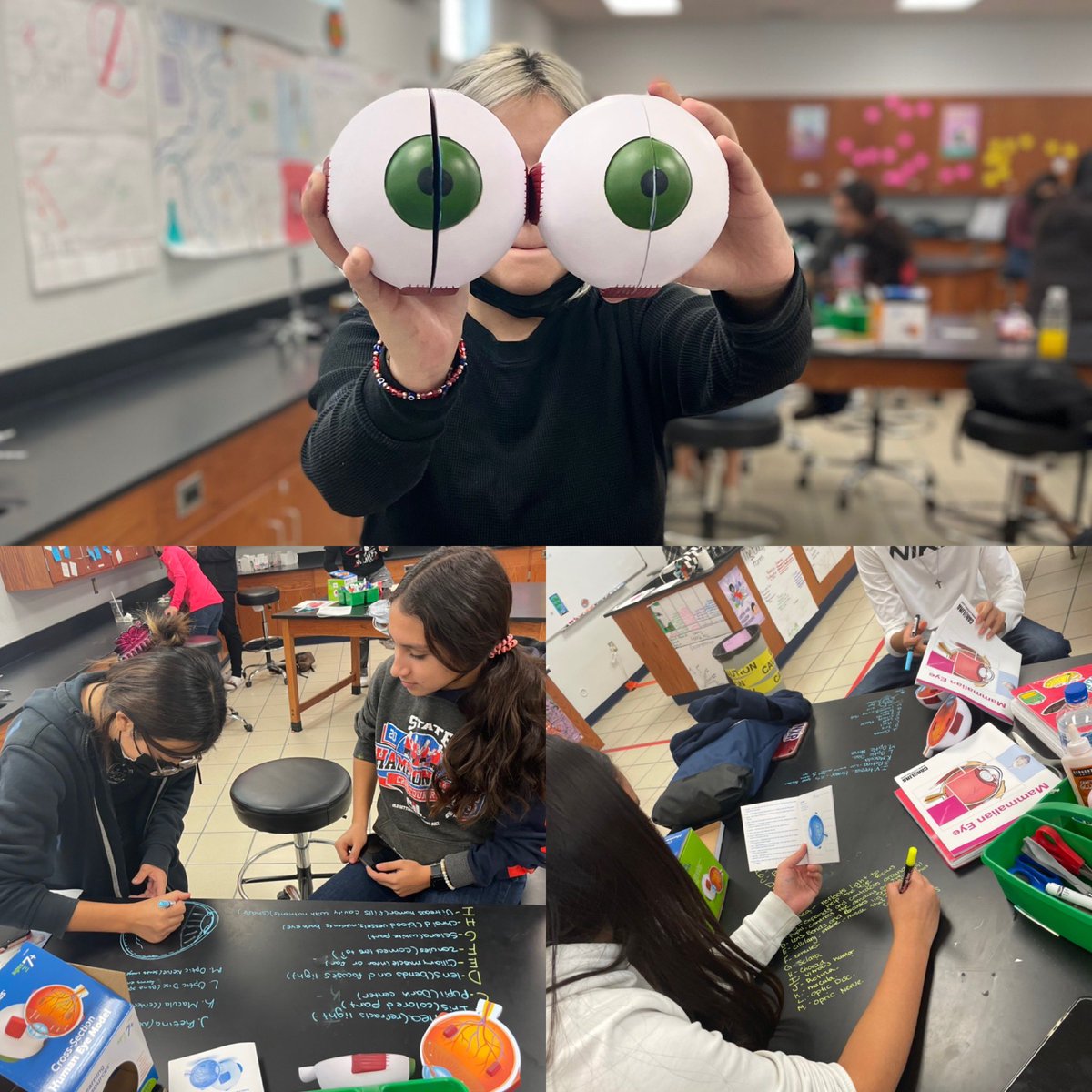 aluna0707's tweet image. Eye 👁 see you studying 😂 #drlunasclass #theye #nerdsatwork #SEHSTheBest #SEISDCommunityOfChampions #pltwclassroom #STEMactivities