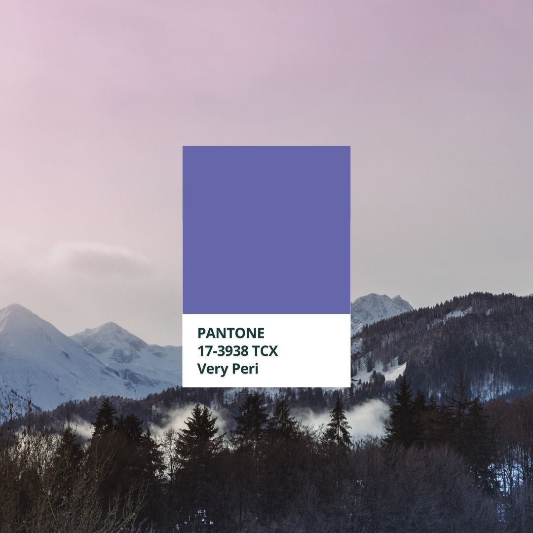 KMNelson Design, LLC tweet media