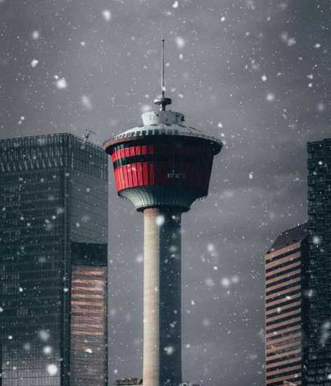 You’ll know you’re in the heart of the city every time you glimpse the Calgary Tower from your room.