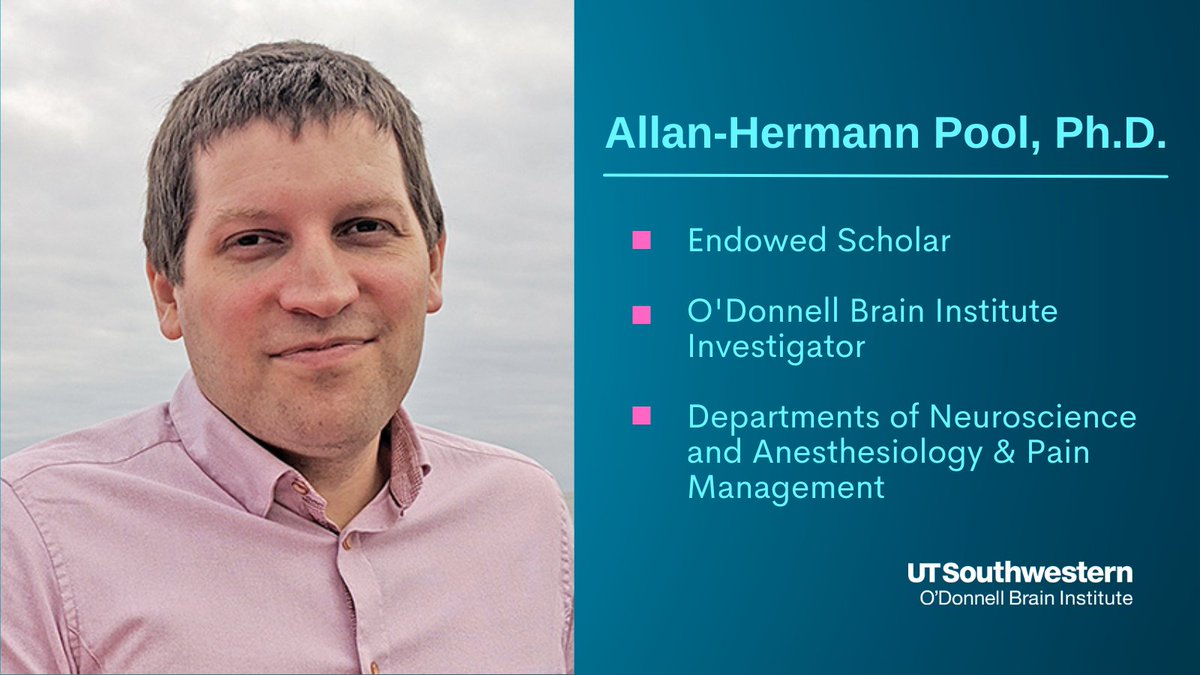 UT Southwestern O'Donnell Brain Institute (@utswbrain) on Twitter photo Welcome to <a href="/Allan_HPool/">Allan-Hermann Pool</a>, a new UTSW Endowed Scholar and OBI Investigator. His research focus is neural circuits that mediate pain and pain relief. Dr. Pool is Assistant Professor in <a href="/UTSWNeurosci/">UTSW Neuroscience</a> and Anesthesiology and Pain Management. Read more about him: bit.ly/3GjF8g6 Welcome to <a href="/Allan_HPool/">Allan-Hermann Pool</a>, a new UTSW Endowed Scholar and OBI Investigator. His research focus is neural circuits that mediate pain and pain relief. Dr. Pool is Assistant Professor in <a href="/UTSWNeurosci/">UTSW Neuroscience</a> and Anesthesiology and Pain Management. Read more about him: bit.ly/3GjF8g6