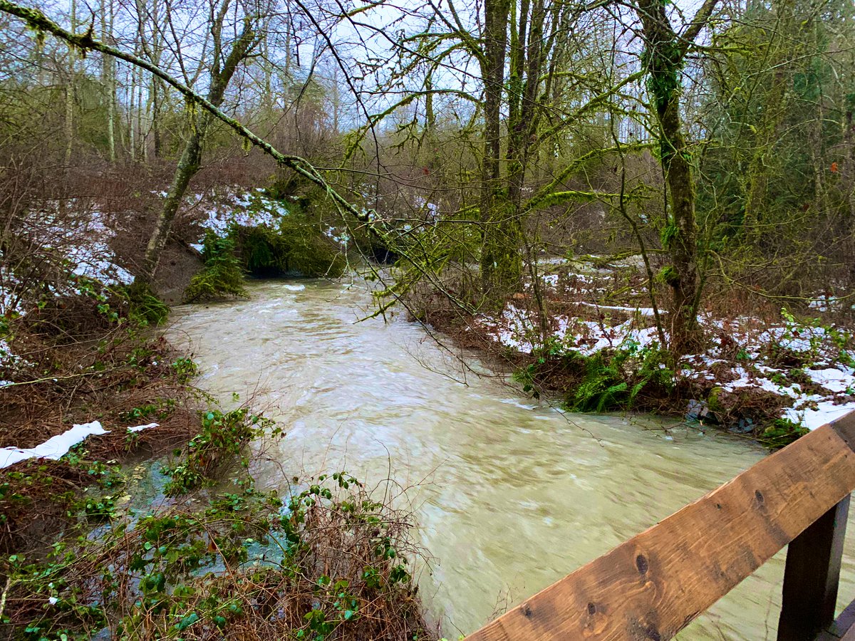 Kylem87's tweet photo. Slippery walk through #Tynehead today durning a break in the weather. Lots of ice still on the trails #Watchyourstep River/creek flowing pretty quick also. #BCStorm #ShareYourWeather #SurreyBC https://t.co/p67Uyt4Cr6