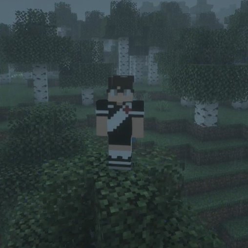 mountthinker's tweet image. meteu essa?