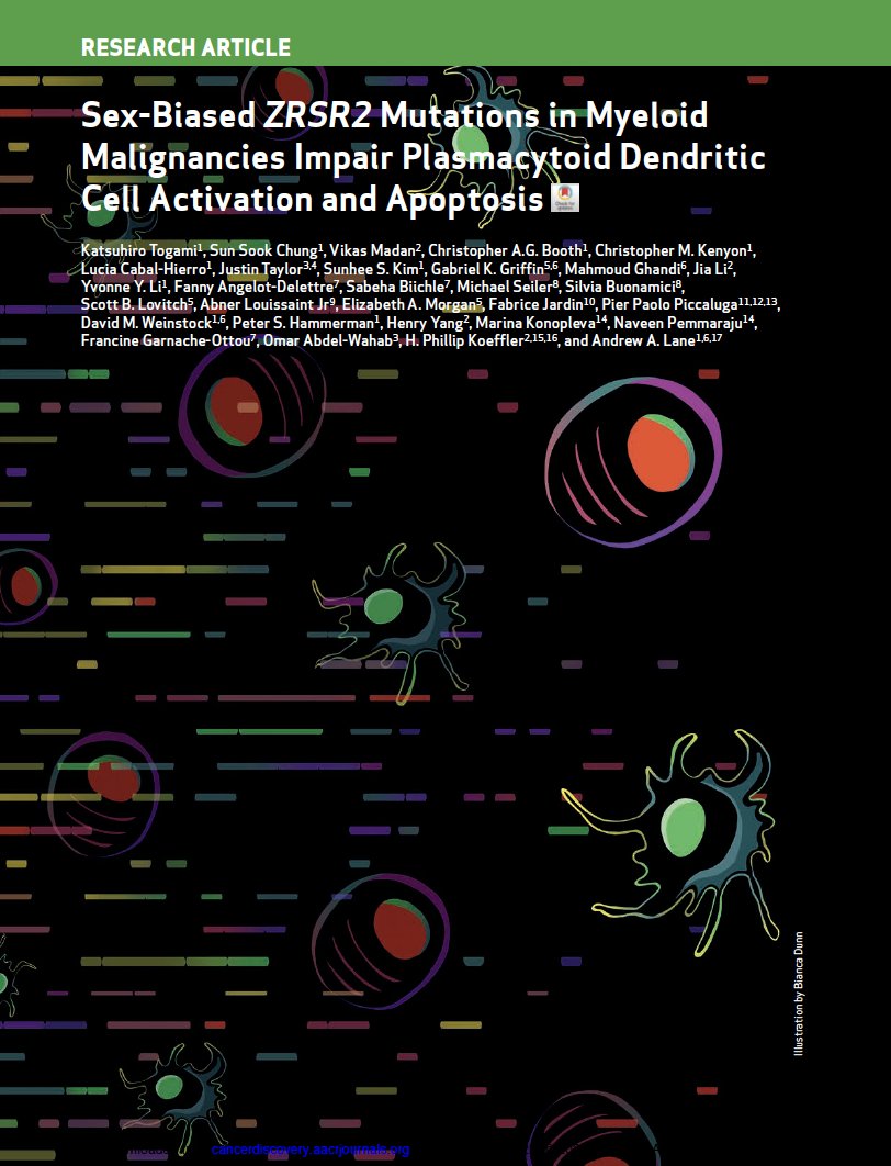 Sex-Biased ZRSR2 Mutations in Myeloid Malignancies Impair Plasmacytoid Dendritic Cell Activation and Apoptosis. Now out online including this cool 'cover art' by @CD_AACR ! cancerdiscovery.aacrjournals.org/content/early/…