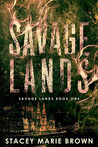 TDevolin's tweet image. Help me out? Which book series should I start first? #ravenhood #bookseries #savagelands #books #reading