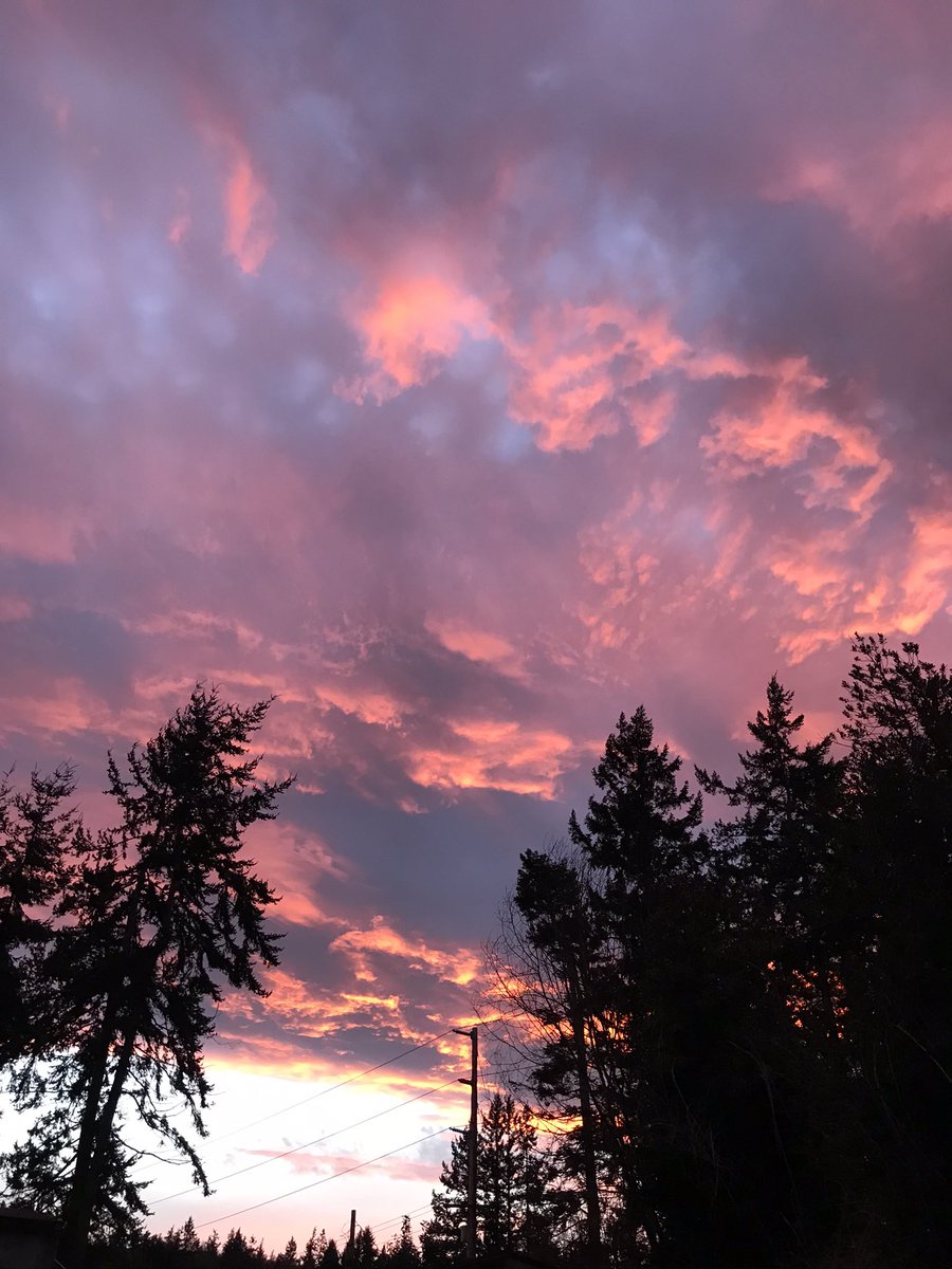 Tonight’s glorious sunset!!✨🌟💗☃️🌄🌟✨

#Sunset  
#MyHomeIsAnIsland💗🌲🌄✨🌟
#PNW 
#MyPhotos