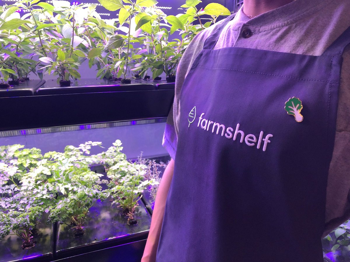 farmshelf 🥬 tweet media