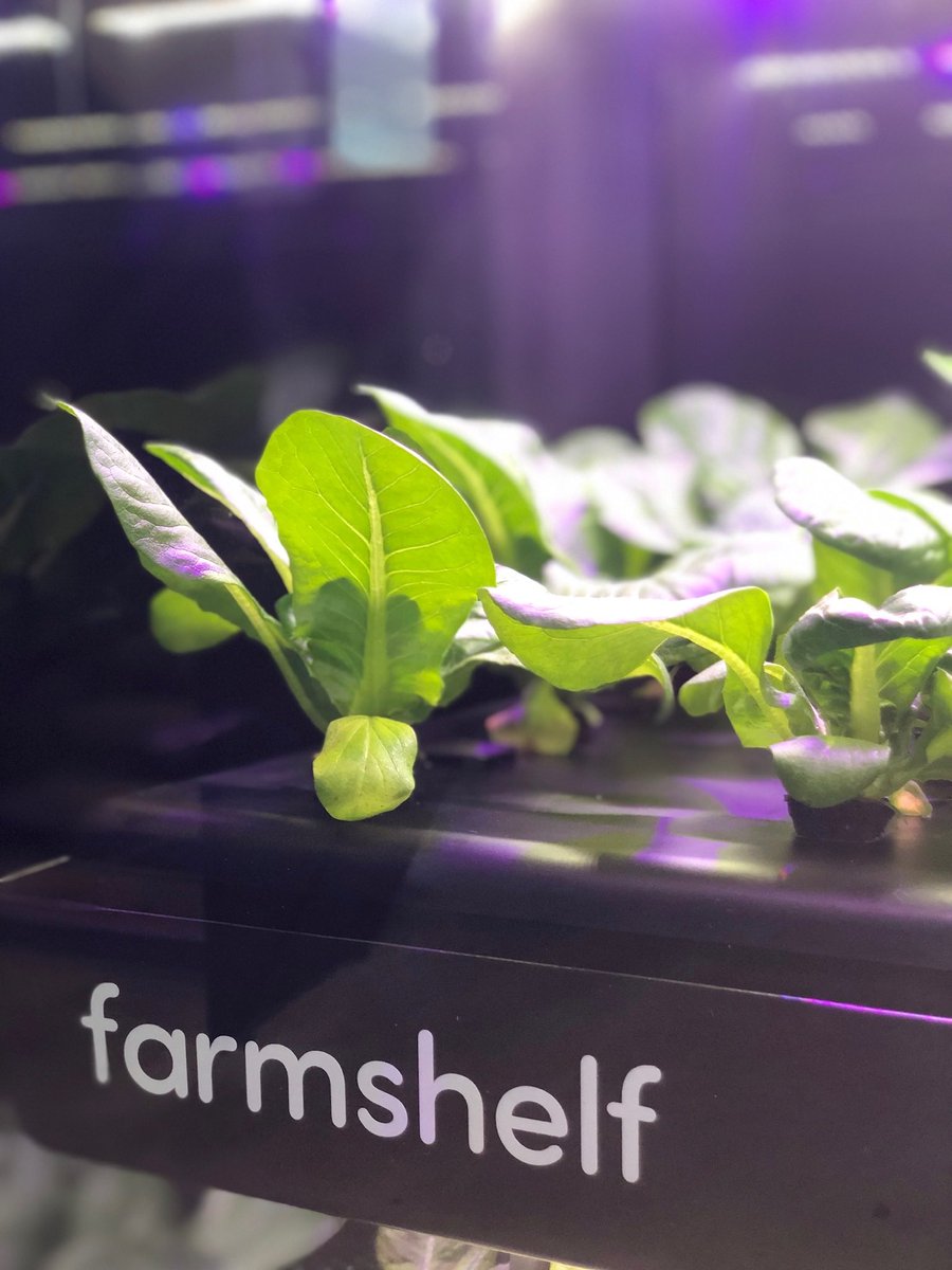 farmshelf 🥬 tweet media