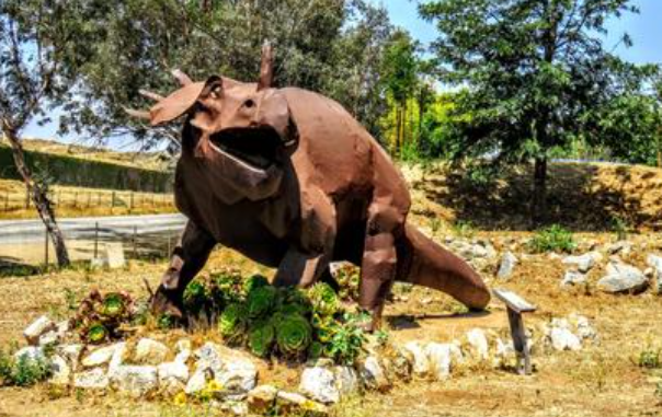 Urgent Update
JMDC will be closed this weekend! 

Due to COVID-19 exposure and positive test results for some JMDC Staff members, we will be closed this weekend, January 15th and 16th. JMDC will keep you updated regarding any further actions on all our social platforms.