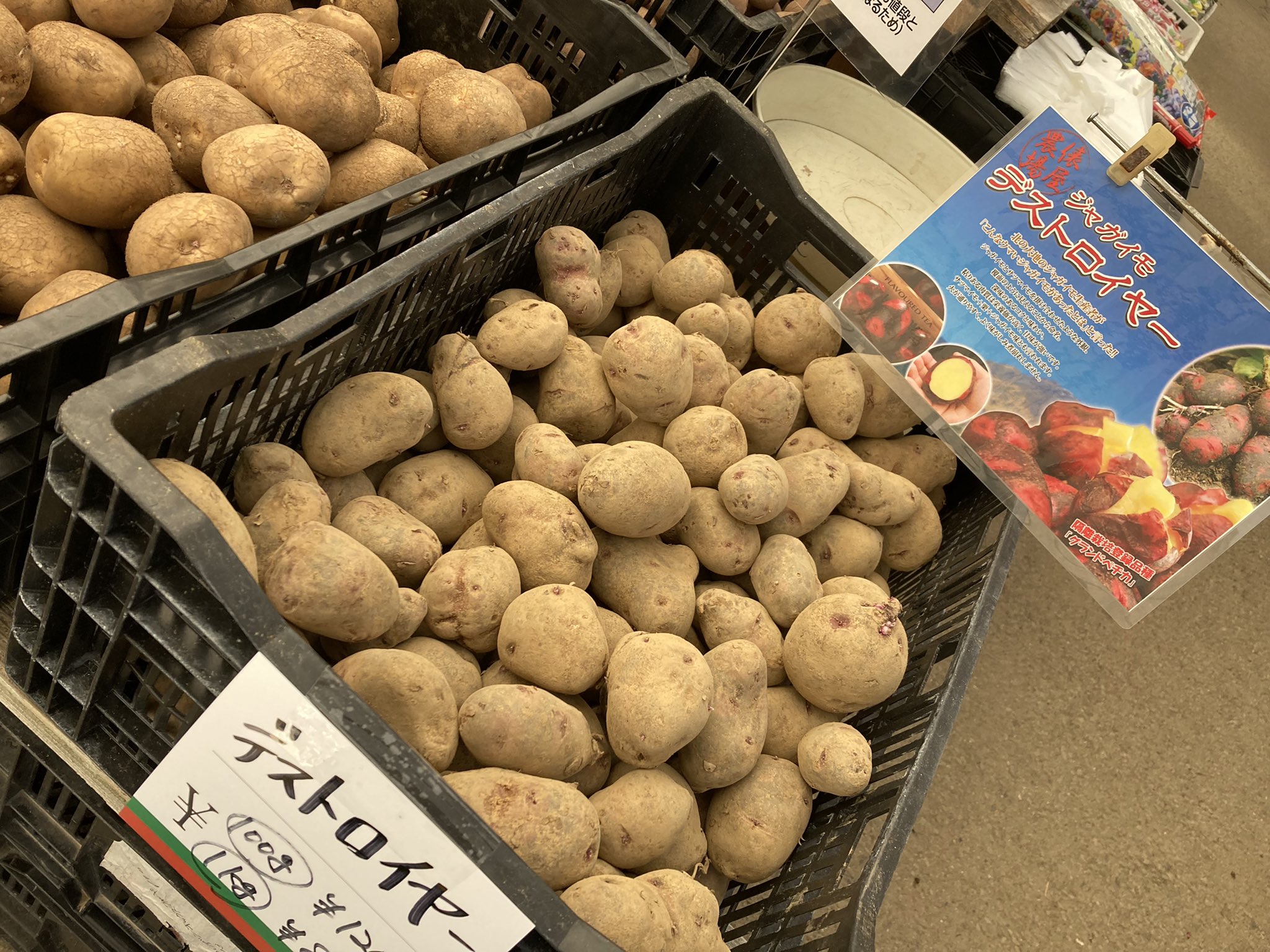 ガーデンセンター華遊 皆様お久しぶりです 新米スタッフtです ようやく投稿出来る 今日からジャガイモ の種芋販売開始ですー 是非みにきてくださいね レアな品種もありますよ ガーデンセンター華遊 家庭菜園 種芋 ジャガイモ