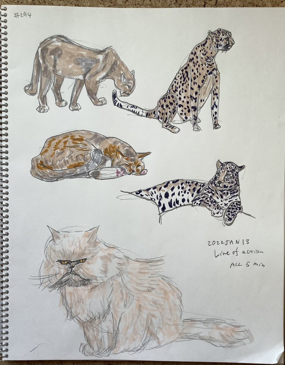 Mollykinoco's tweet image. #lineofaction #croques 293,294回目。2分5分。