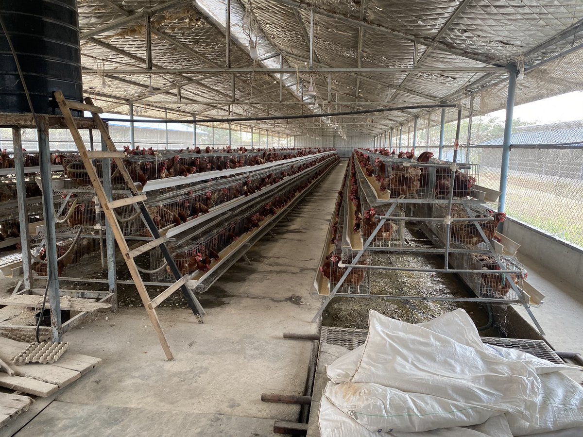 Seth Lover (SethLover4) Twitter