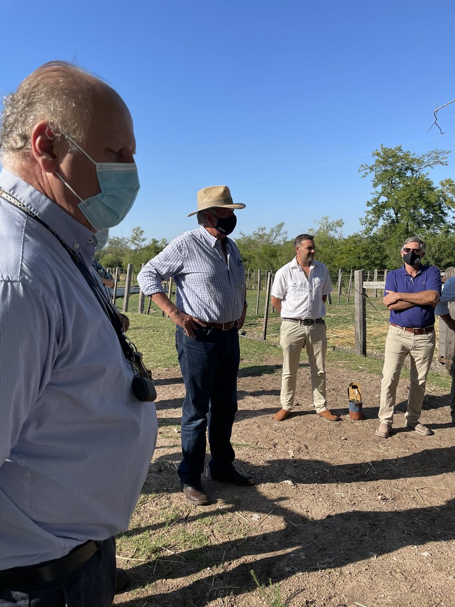 fabiaferlan's tweet photo. Hoy en @DelGuichon afinando detalles para la implementación del hotel de terneros @MGAPUruguay @PlanAgro https://t.co/9rOVl9RCI0