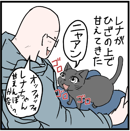 レナちゃんが膝で甘えてきたのだが・・・
 #ニャンコ #まんが #猫 #猫あるある #猫漫画 #ペット #飼い主 #エッセイ漫画 #キャット #ねこのいる生活 #4コマ 