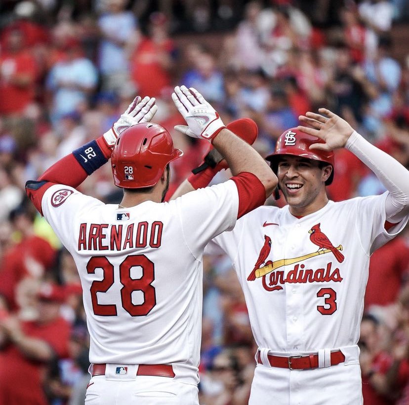 The_Ryan_Shull's tweet photo. The @Cardinals play a baseball game in 44 days https://t.co/07UgNaNEwe