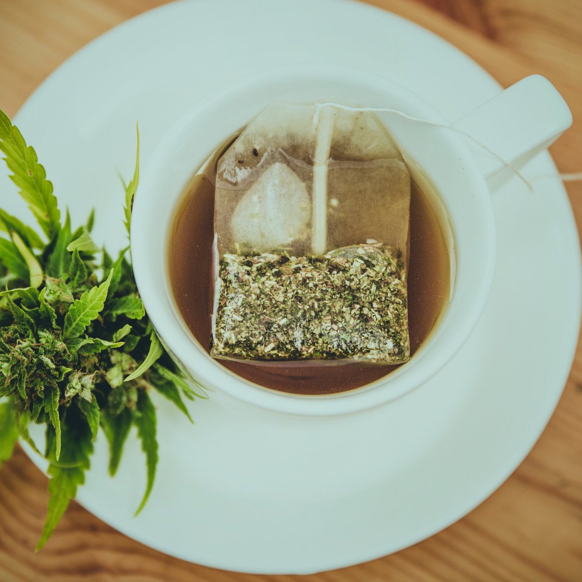 Finishing up your latest batch of infusions? Don't throw out that canna pulp just yet!🚯
Give your flower new life after an infusion...🍃 Check out our blog to find out how. 👇tinyurl.com/y3ceherf