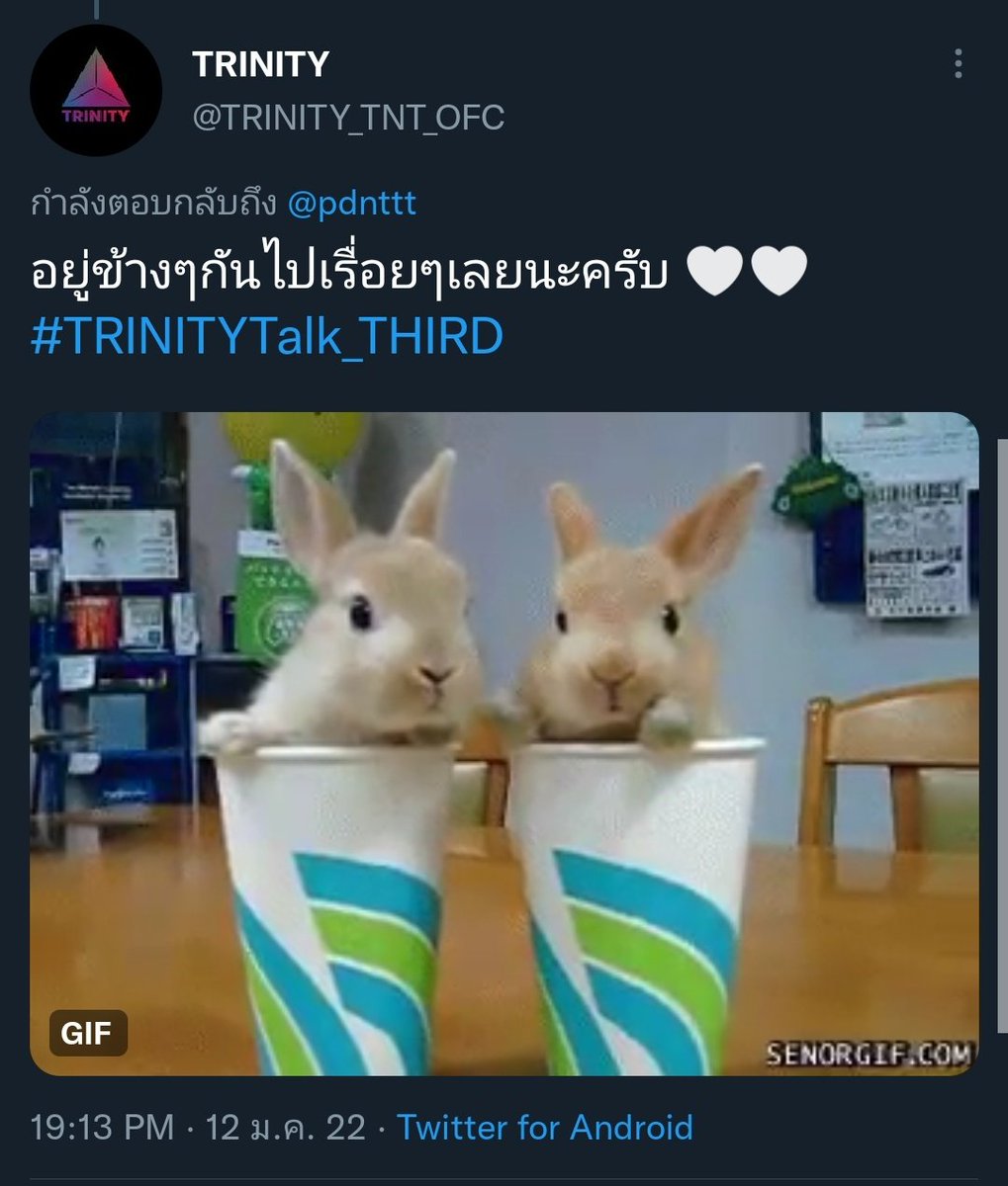 jkpakth's tweet photo. เมื่อวานไม่ทันคุยด้วยเลย รักนะค้าบบบ
เจ้าเติร์ดกระต่ายน้อย อยู่กันนานๆ 🐇❤
#TRINITYTalk_THIRD https://t.co/VSwekmDtKk