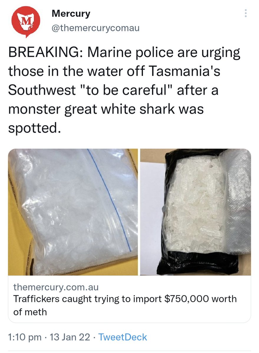 sophodonovan's tweet photo. personally thrilled at the implication of a meth trafficking monster shark https://t.co/nTo7j38Tpu