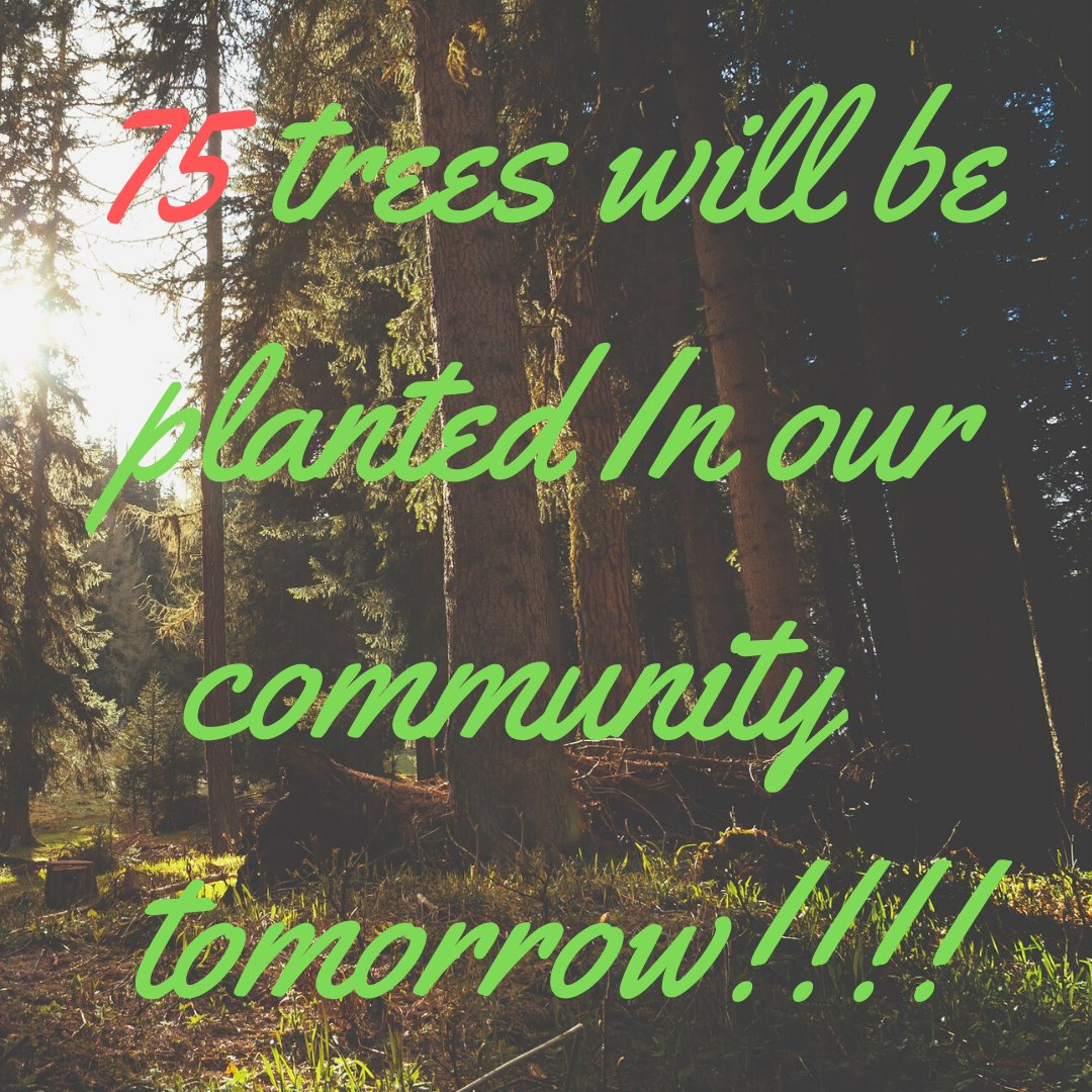 Big news: 75 trees will be planted in our community tomorrow! Keep your eyes out around the Burbank School complex, the 99 Cents store complex, along York toward the freeway, and our Environmental Justice area along the 110 freeway in front of the residences who wanted a tree.