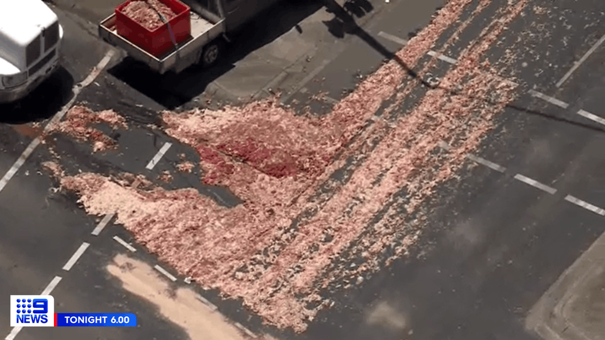 9NewsMelb's tweet photo. MEAT SPILL: The left lane of the M80 Boundary Road exit ramp has been CLOSED due to a truck spillage of animal entrails and meat waste.

The Department of Transport has warned that the gruesome cleanup "will take some time."

MORE: https://t.co/vEcwb05j0U

#9News https://t.co/FCGUqhU6xP