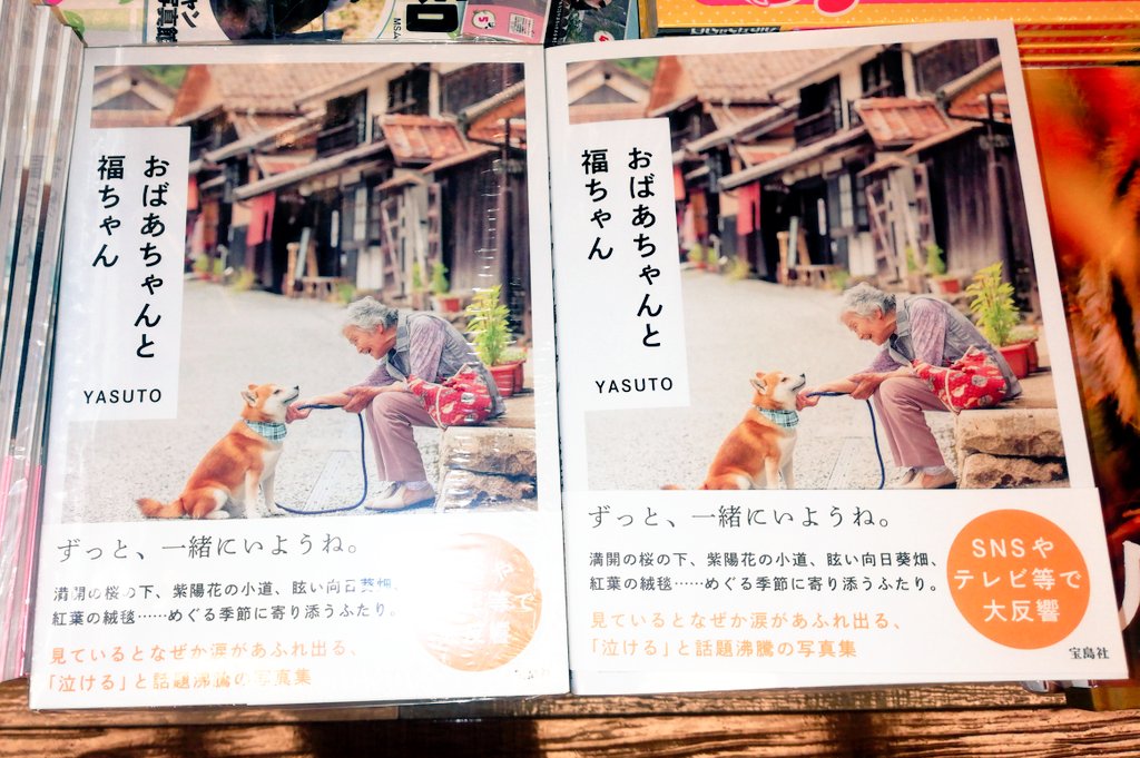 Kino_Fukuoka's tweet image. 【#一期一会の写真集】寒い冬も和らぐ、とびきり温かい写真集‼️☺️✨#YASUTO さん『#おばあちゃんと福ちゃん』✨見ているだけで、幸せな気持ちに包まれます‼️☺️✨YASUTOさんが写真集に込められた、想いあふれる後書きも最高です‼️✨C09-06写真集コーナーで展開中です‼️📷✨