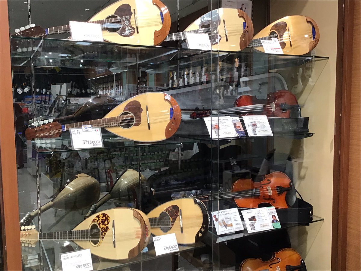 shima_maebashi's tweet image. 【入荷情報】カラーチェマンドリンNo.26MとNo.13待望の入荷です✨カラーチェらしい存在感のある音色が楽しめます❗️ぜひお試しください。
#カラーチェ
#Calace
#マンドリン