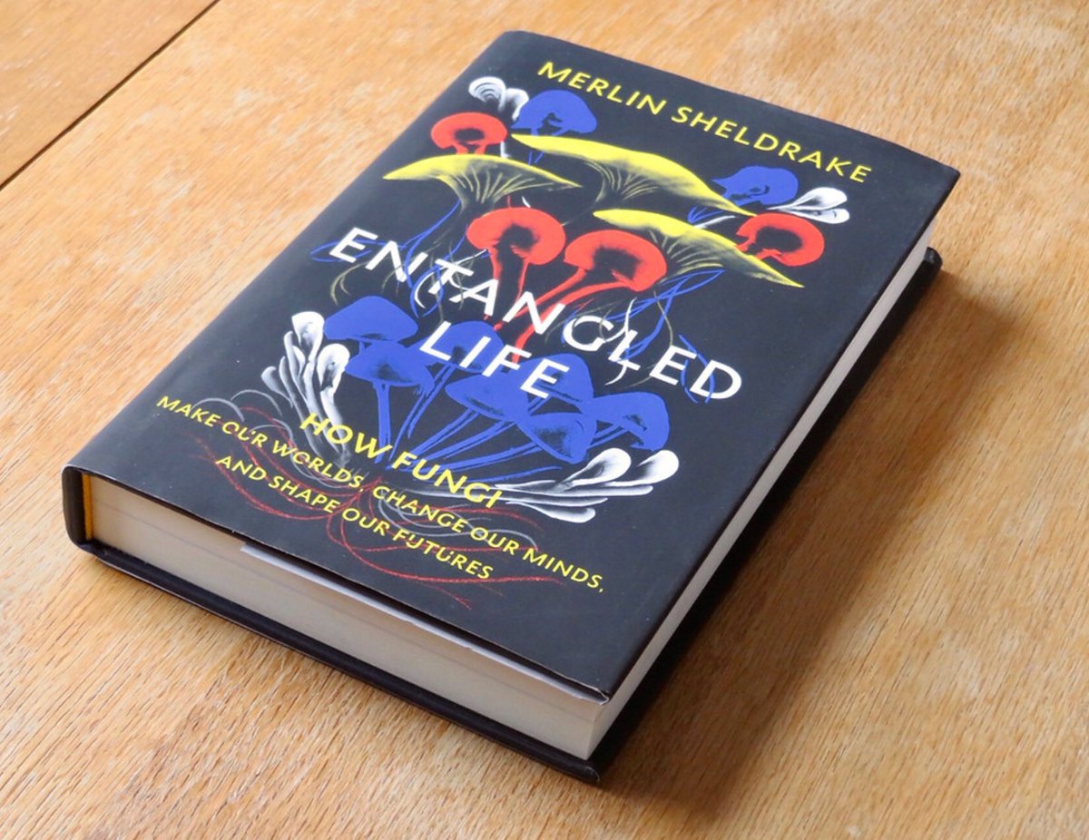 Ownbrain69 tweet media