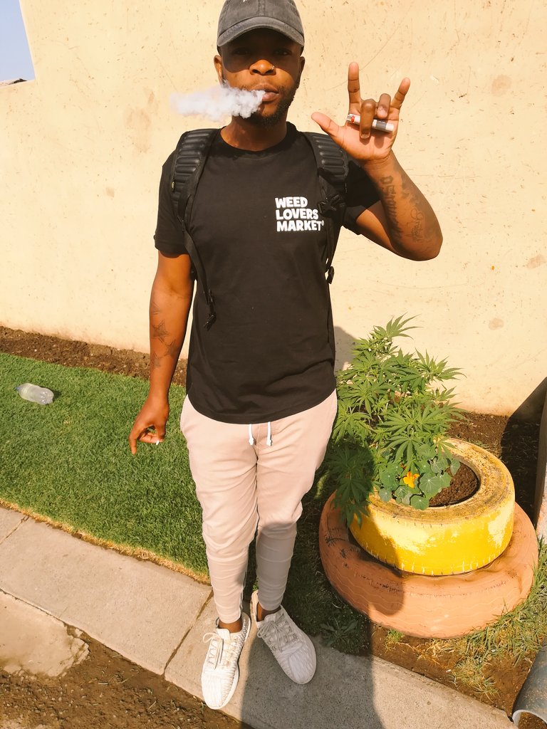 weedloversstore's tweet photo. Wake&Bake is top tier compared to other sessions🍃🔥💨
#ZolRESPONSIBLY #MovementForTheKool #ItsNotJustABrandItsAMovement
#Memberville https://t.co/tEBLRuQ6K3
