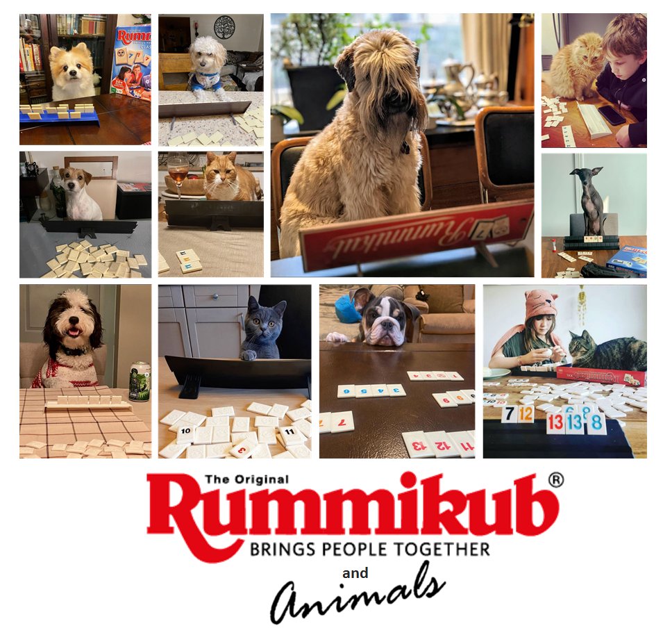 RummikubApps's tweet photo. Special THANKS to our Furry Friends that are always by our side.   
Even when no one else wants to play with you, they will step up to the competition. 
#Rummikub #Boardgames #Dogs #Cats #LOVE https://t.co/1IRljvyAoY